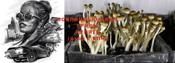 PSILOCYBIN Алексеевка